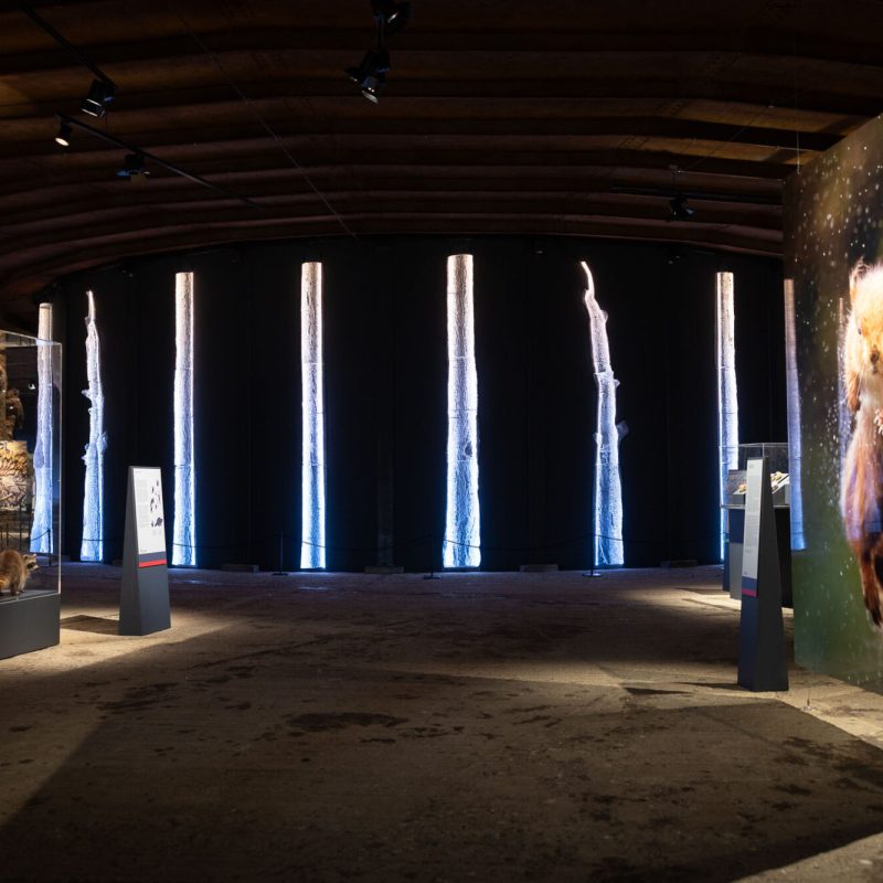 Global Sunrise Exhibition View